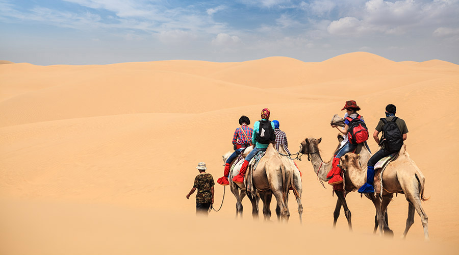 VIP Morning / Evening Desert Safari by Al Jarf Tours